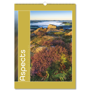 Aspects Wall Calendar - 13 Leaf
